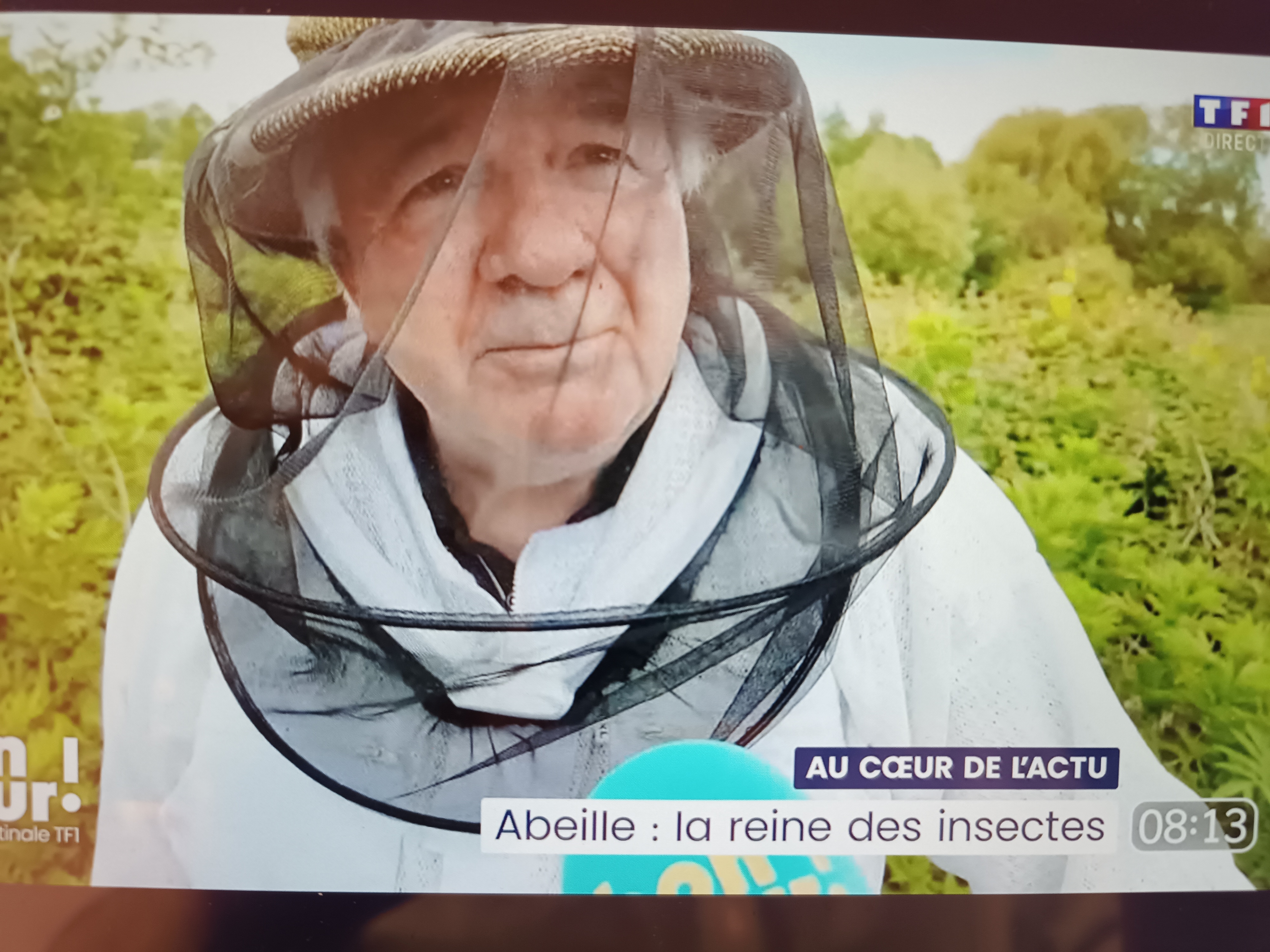saison aux abeilles   matinale TF1