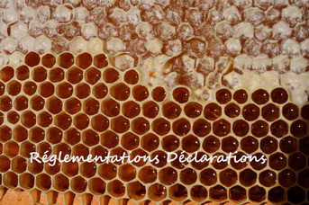 Réglementations