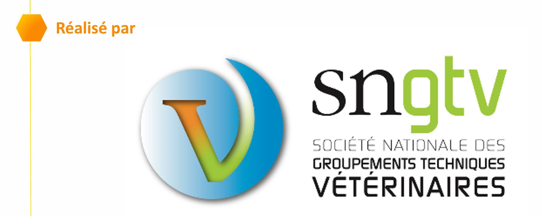 realise par sngtv