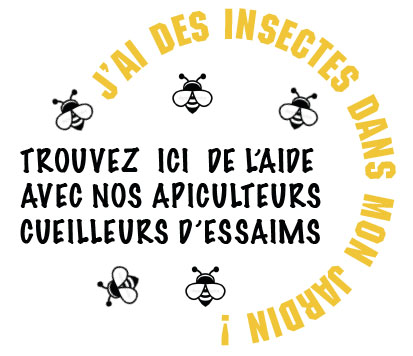 logo cueilleur d'essaim